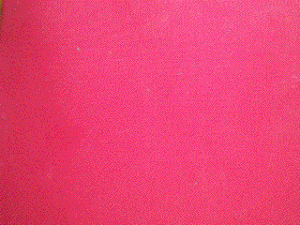 3-1-europe-rose