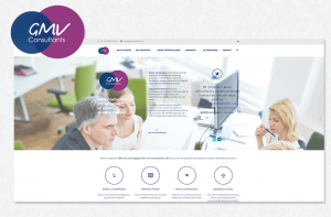 portfolio-GMV