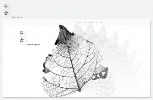portfolio-glg